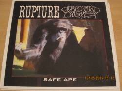 Rupture : Safe Ape